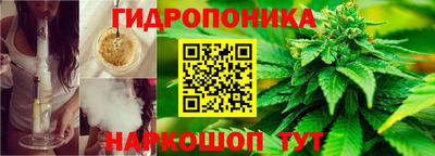 каннабис Шахты