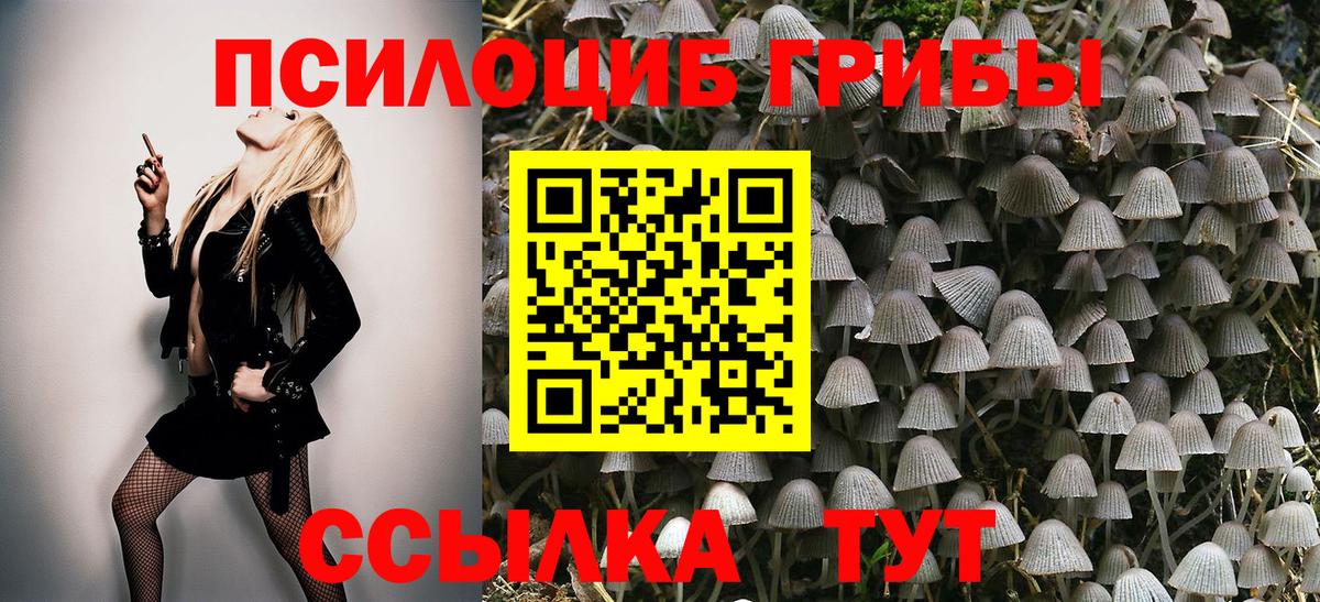 Великие Луки  Псилоцибиновые грибы Psilocybe  Вход с VPN 