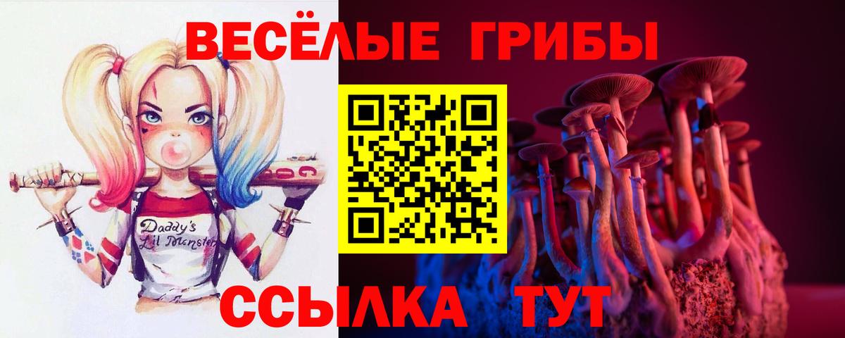 Псилоцибиновые грибы прущие грибы Великие Луки